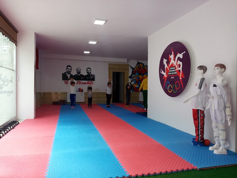 Fenomen Spor Kulübü