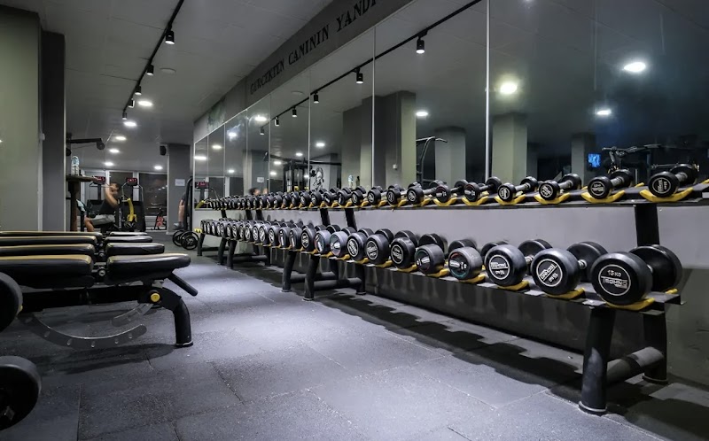 Limitless GYM