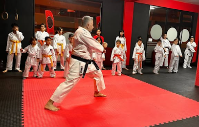 DOJO 35 KARATE KICKBOKS