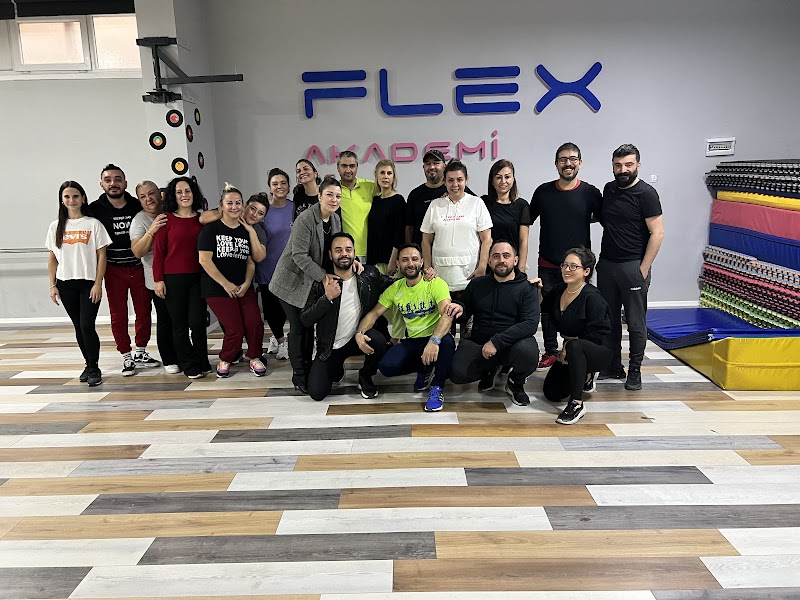 Flex Dans Akademi