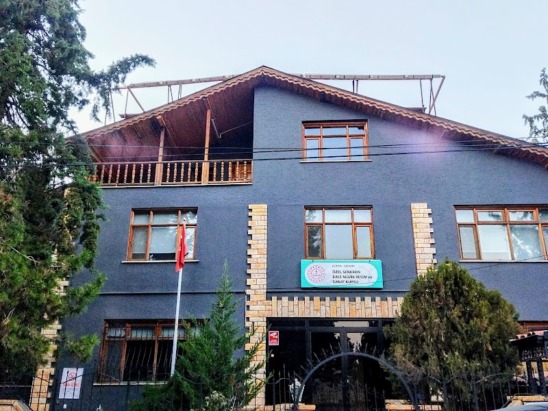 Özel Senkron Bale Müzik Resim ve Sanat Kursu
