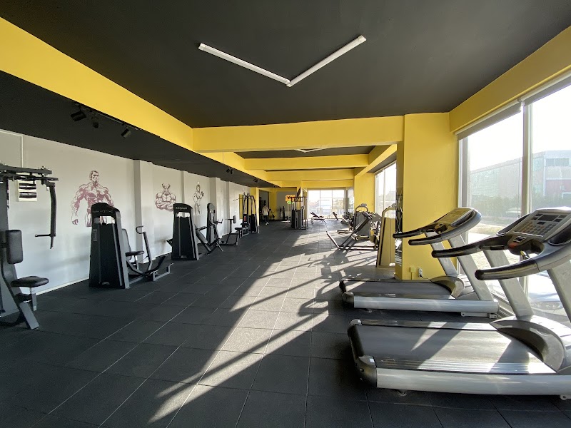 Business Gym Uşak