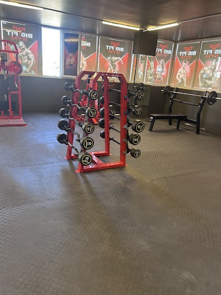 Bigfitgym