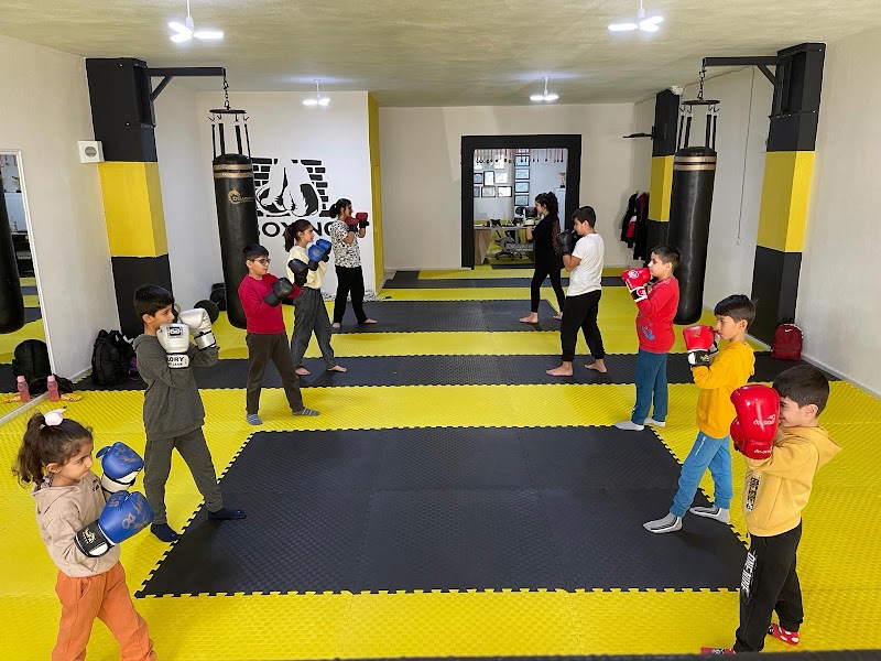 DRAGON FIGHT ACADEMY