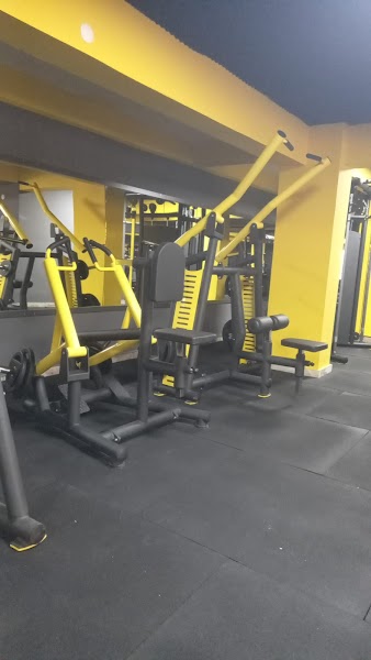 Big Bulls Fitness