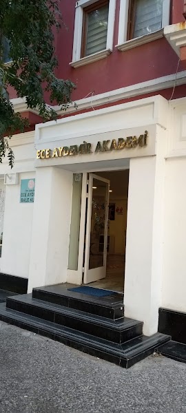 Ece Aydemir Akademi
