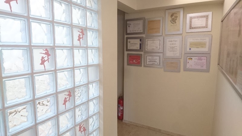 Özel Neriman Bale Kursu