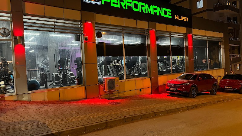 Performance Nilüfer