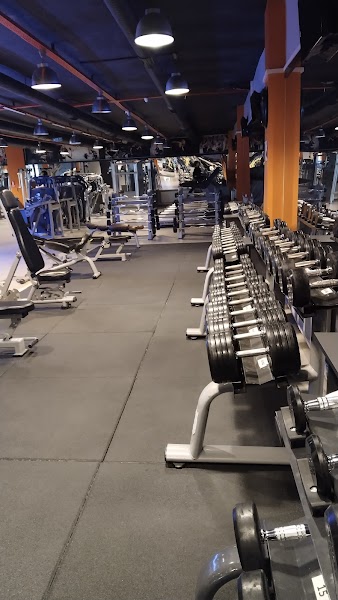 Rain Gym