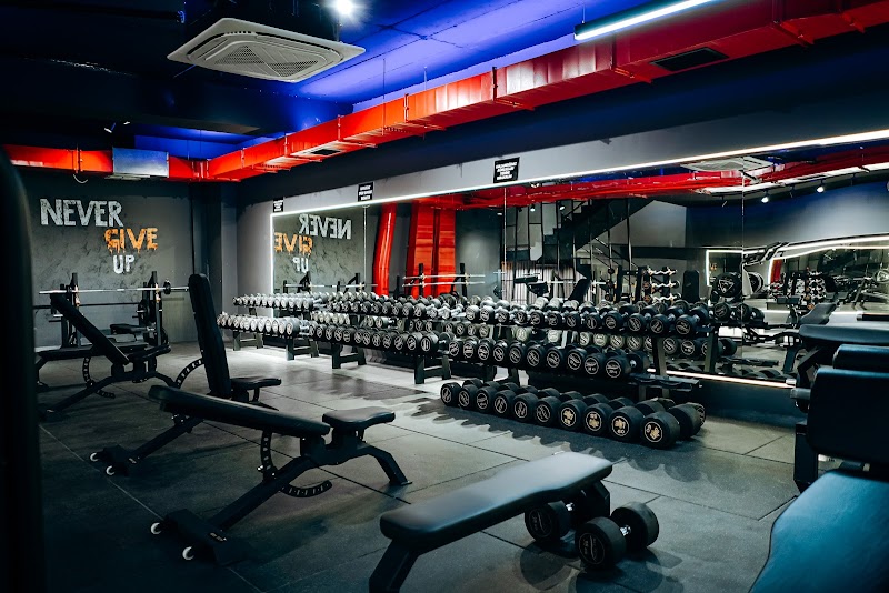 Lion Gym Spor Salonu