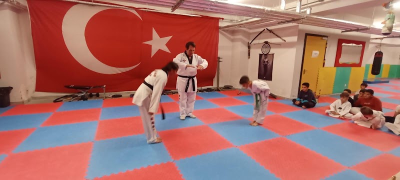 Zeytinburnu Spor Merkezi Spor Kulübü
