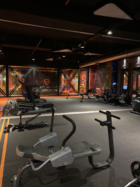 GYMFIT TAURUS