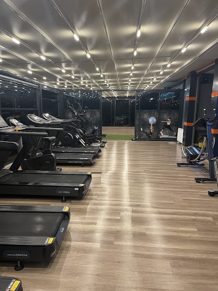 Gym Fury