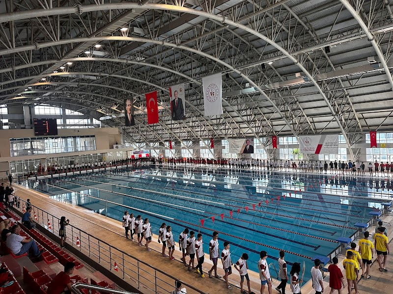 Van Olimpik Yüzme