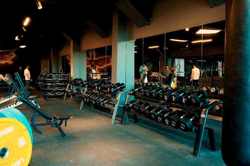 Reborn Fitness Bosna