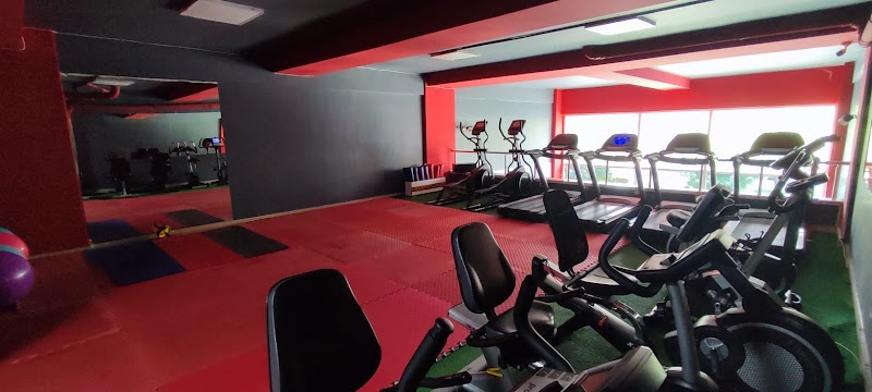 Mutasyon Fitness