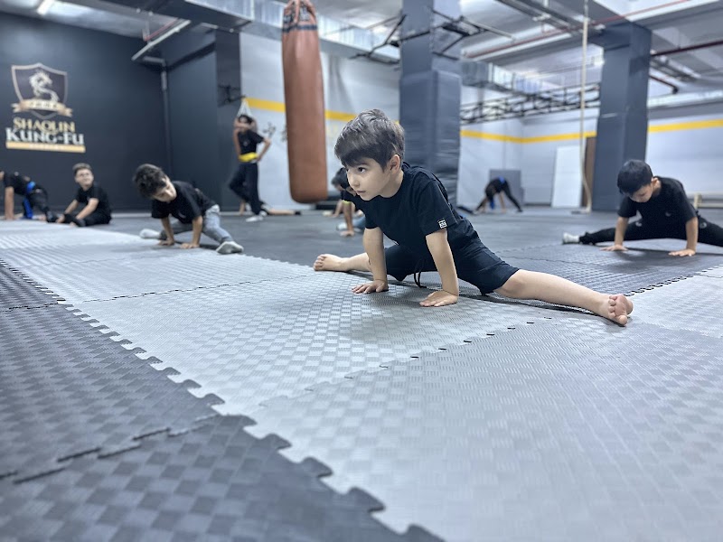 Shaolin Kungfu Academy