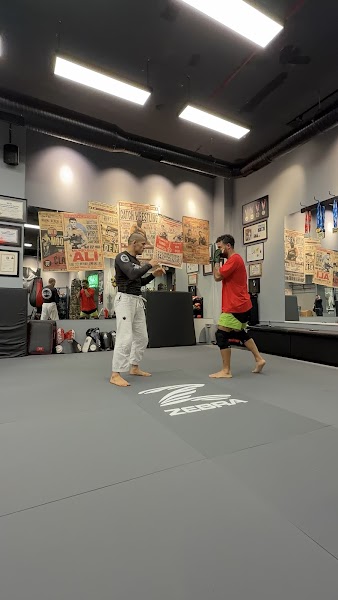 Ground and Pound İstanbul