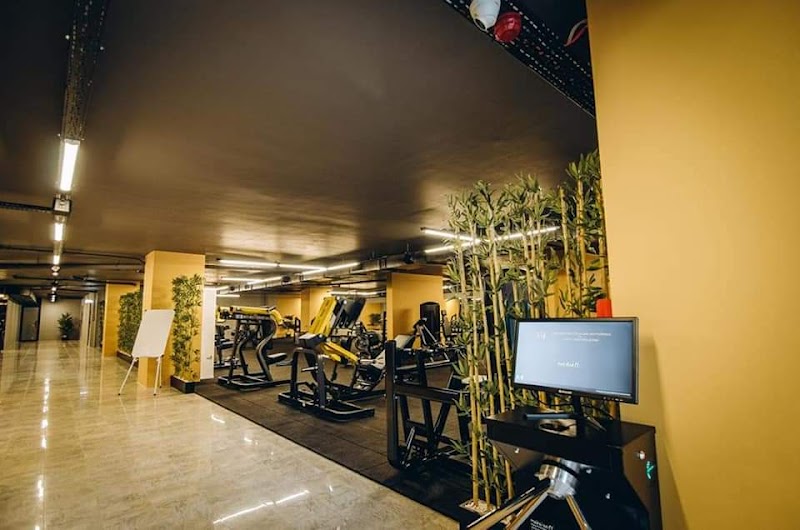 Gym Lab 101