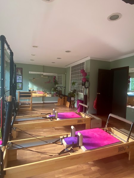 The Pilates Vibe