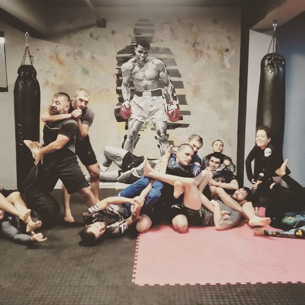 Mellivora BJJ Academy