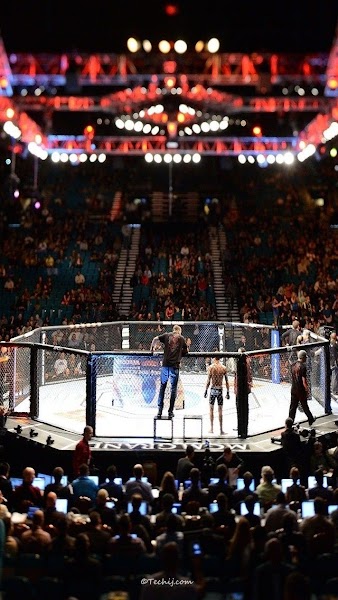 Rüzgar Mma Fight Academy