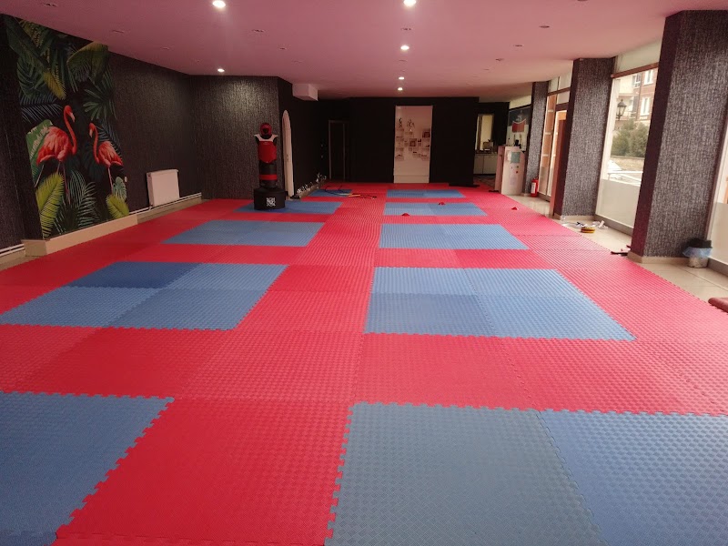 Master Erhan Yaşar Taekwondo Okulu