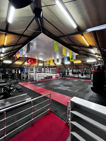 Şanlı spor kulübü