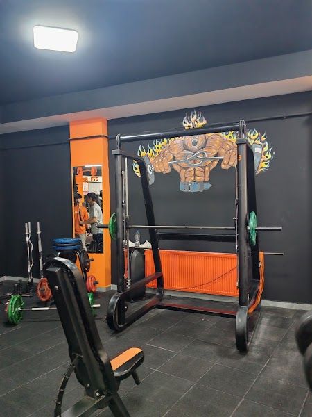Bear Fit GYM