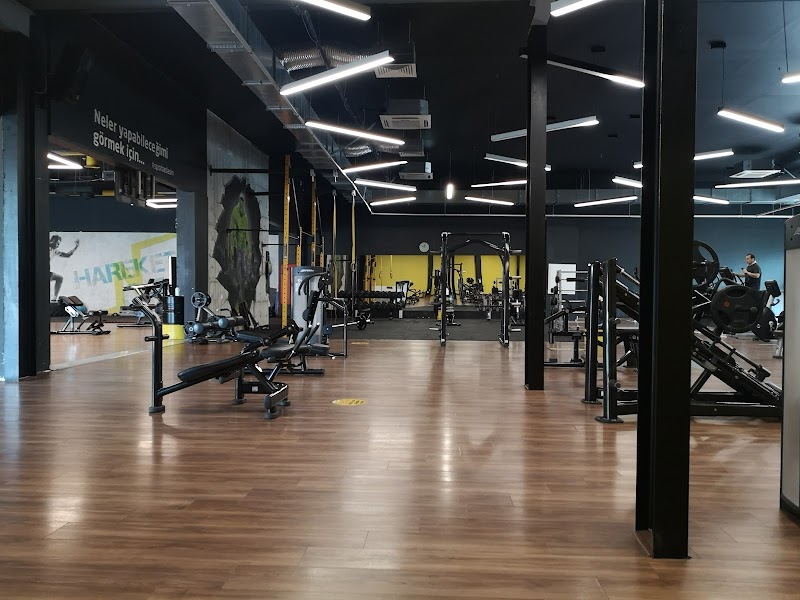 Syner Gym