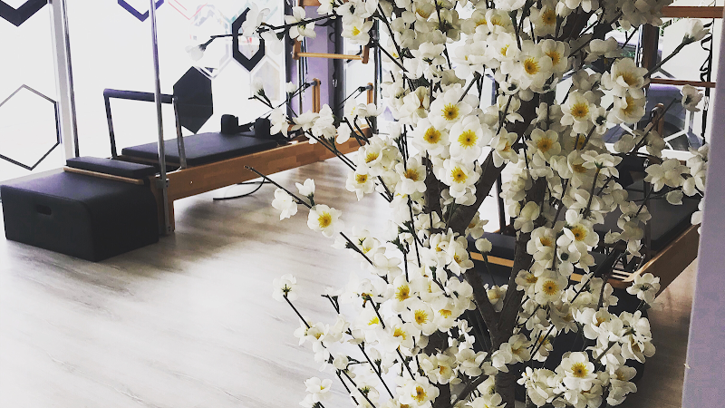 Endorfin Wellness&Pilates Stüdyo