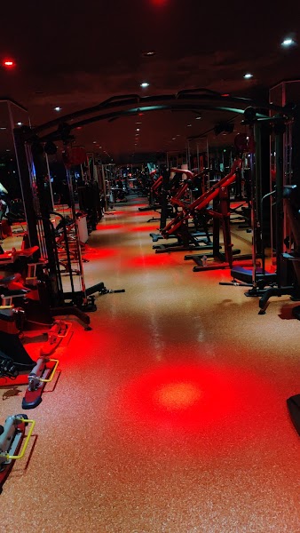 WOLF GYM BURSA