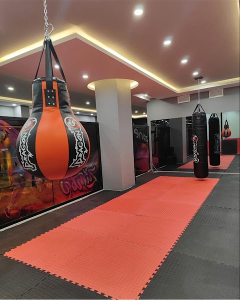 21 ZONE STUDIO