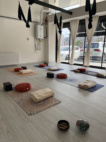 Asteria Zen Studio