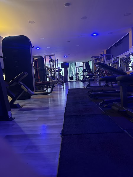 GOLD fitness