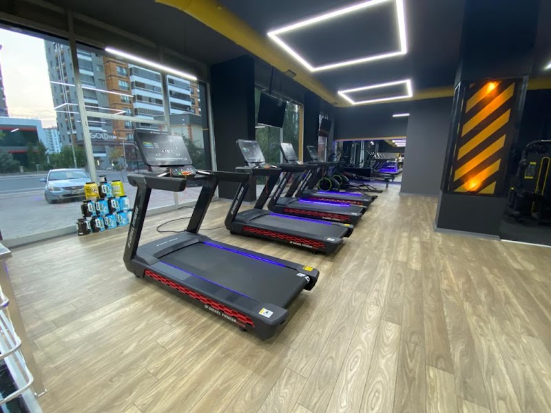 Fitbull Gym Plus