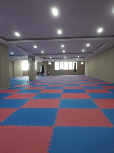 TINAZTEPE TAEKWONDO SPOR KULÜBÜ