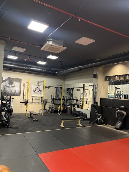 Carlson Gracie Istanbul