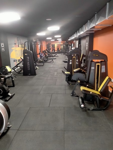 The Bear Gym