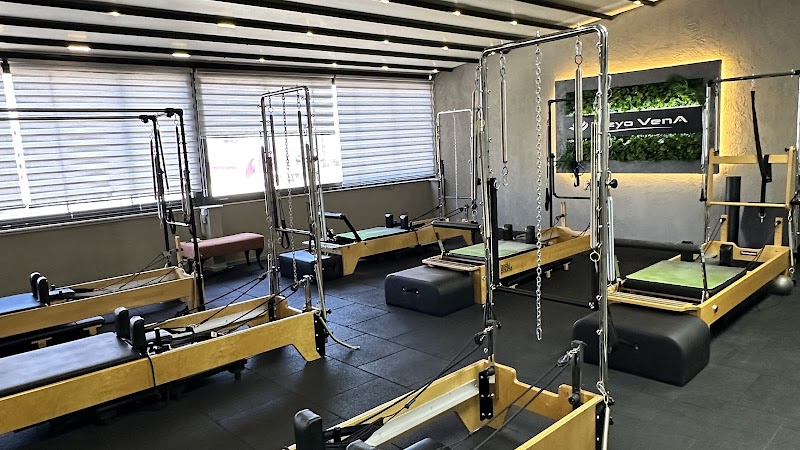 Fizyovena Pilates