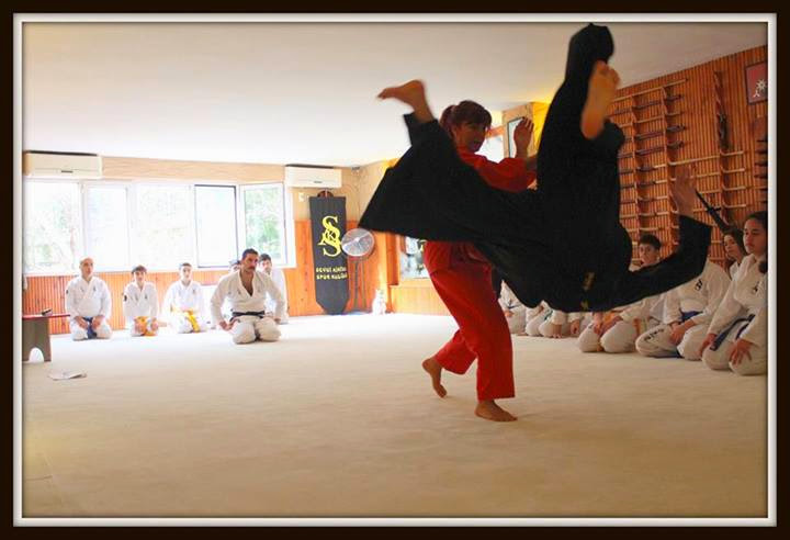 TULPAR DOJO