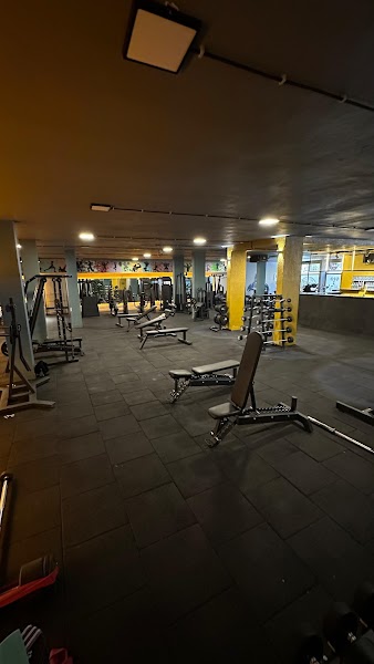 ak BASS GYM