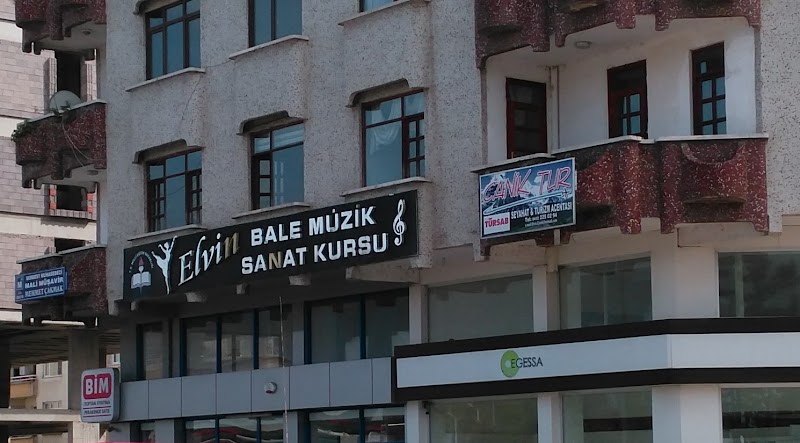 Elvin Bale Muzik ve Sanat Kursu