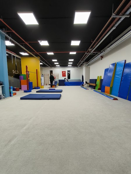 Disiplin Cimnastik Spor Kulübü