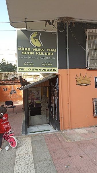 Pars muay Tai Spor kulübü