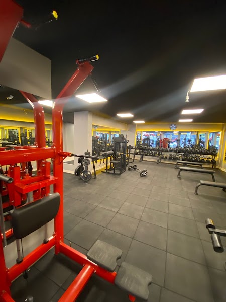 Reo Fitness