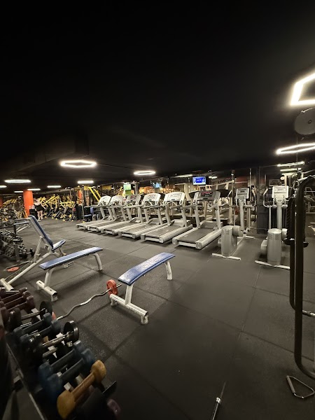 Flash Gym
