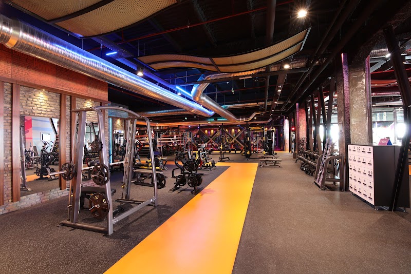 GYMFIT VEGA OUTLET