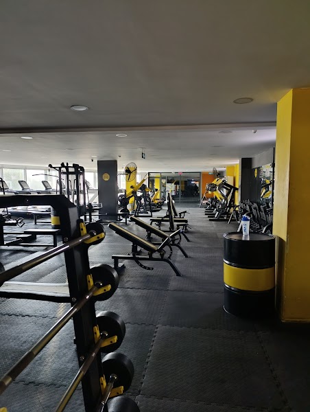 Zeus Life Fitness