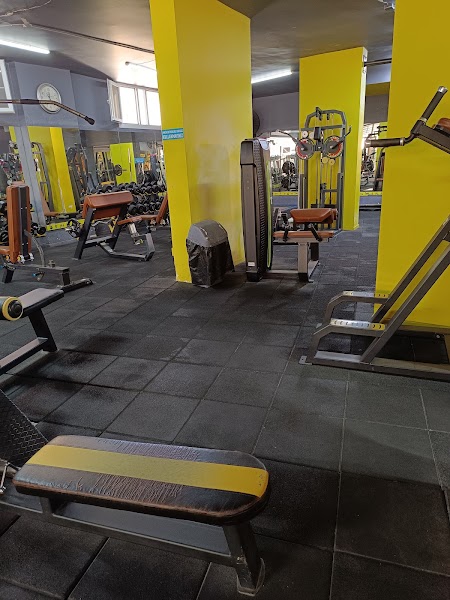 Arena Fitness